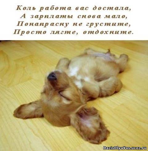 http://oazisdlyavas.ucoz.ru/_ph/223/2/569682104.jpg